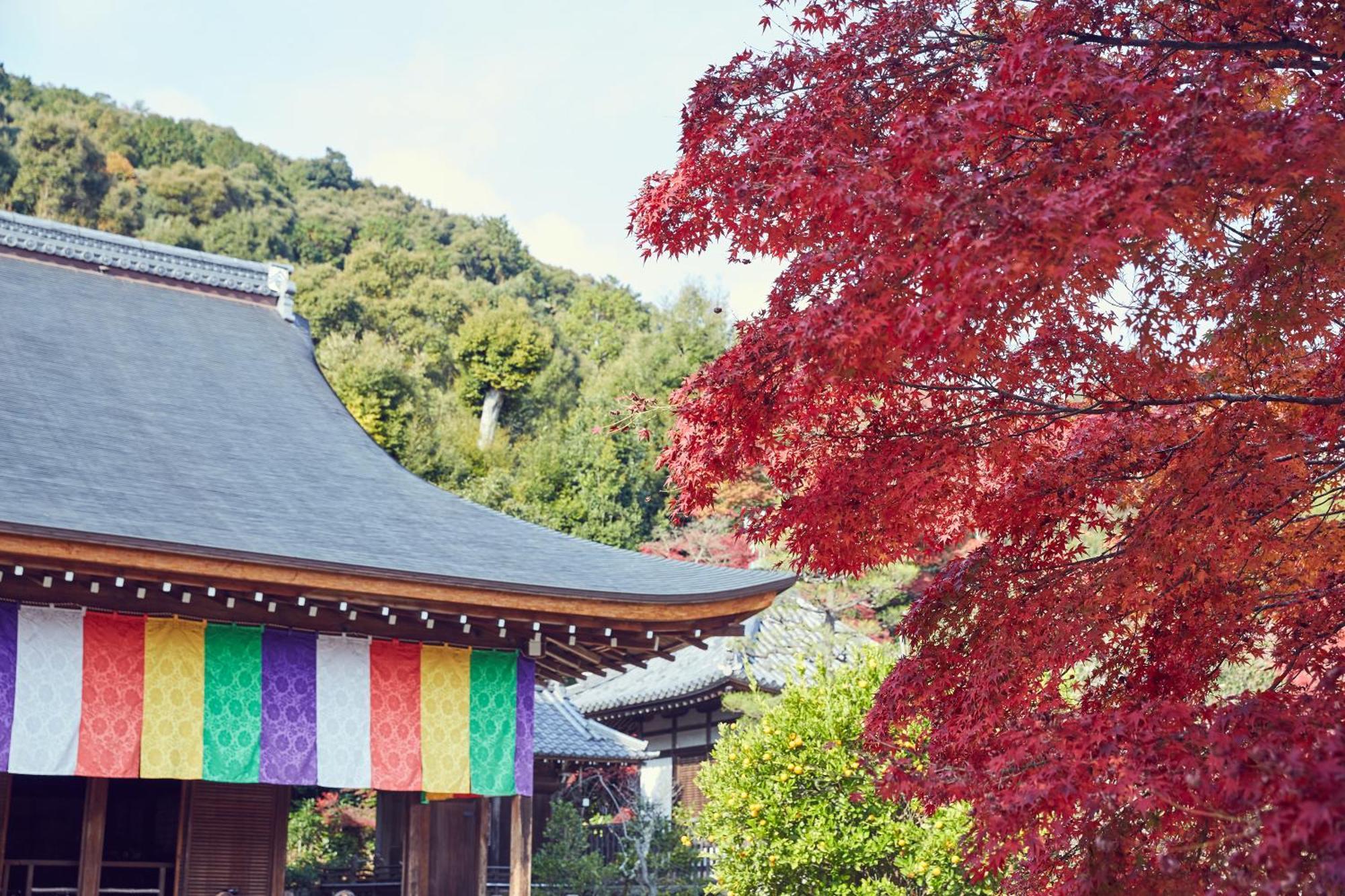 Riverside Arashiyama — Photos 3